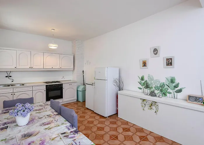 Senka * Оребич