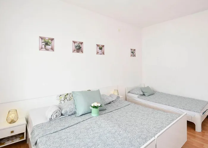 Senka * Оребич